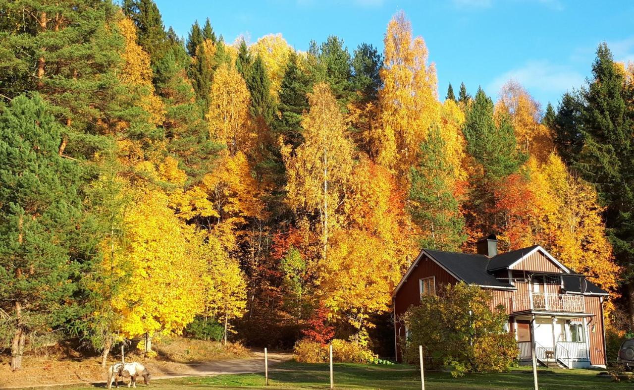 Little Forest House "Our Little Farm" Ekshärad Екстериор снимка