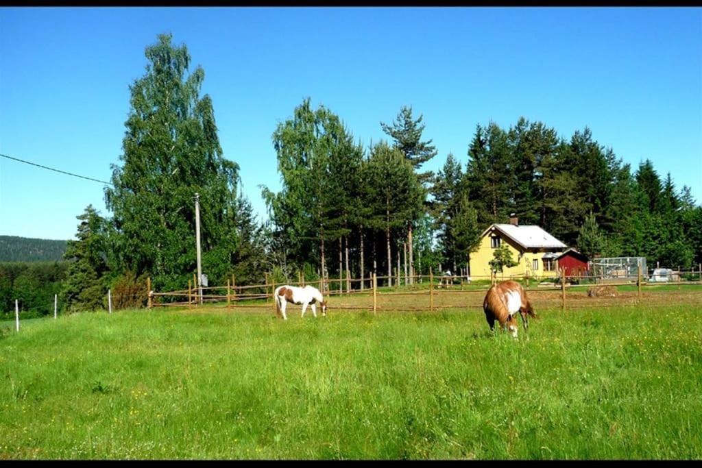 Little Forest House "Our Little Farm" Ekshärad Екстериор снимка