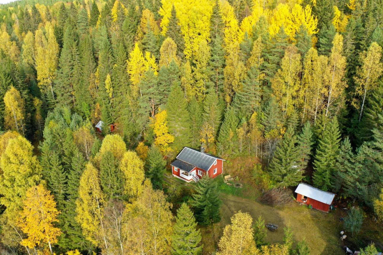 Little Forest House "Our Little Farm" Ekshärad Екстериор снимка